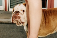 It_s Always Burberry Weather_ London in Love - 4x5