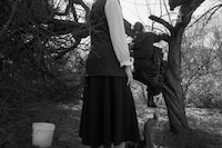 Dormant Season by Erinn Springer 