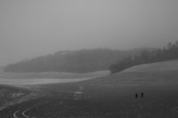 Dormant Season by Erinn Springer 