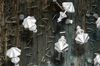 Fervent Moon Jewellery by Lewis Teague Wright