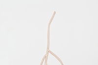 Loewe Foundation Craft Prize 2025