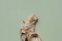 Loewe Foundation Craft Prize 2025