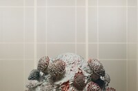 Loewe Foundation Craft Prize 2025