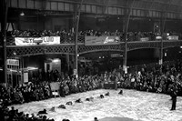 Crufts Obedience 1956