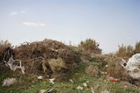 L&#250;a Ribeira: Agony in the Garden