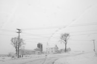 Dormant Season by Erinn Springer 