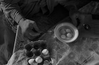 Dormant Season by Erinn Springer 