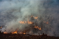 Geography by Zora Sicher, photo book, New York, portraits