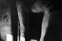 Art Work: On the Creative Life by Sally Mann