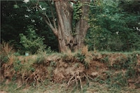 Ana Mendieta at Tate Modern