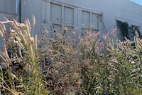 Atropa by Sterling Ruby Artist Garden Los Angeles