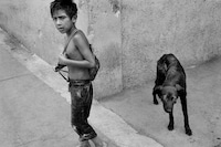 Sue&#241;o Perro by Alejandro Gonz&#225;lez I&#241;&#225;rritu, Fondazione Prada