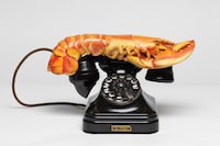 Schiaparelli: Fashion Becomes Art 