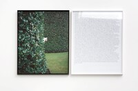 Sophie Calle French Conceptual Artist The Sleepers