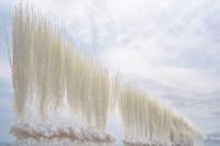 Ramble in the Cosmos by Cai Guo-Qiang