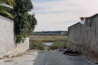 Bravo by Felipe Romero Beltr&#225;n