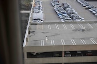 Splint by Chessa Subbiondo