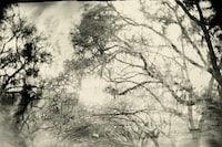 Art Work: On the Creative Life by Sally Mann