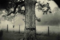 Art Work: On the Creative Life by Sally Mann