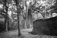 Art Work: On the Creative Life by Sally Mann