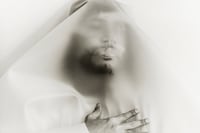 Gilded Lilies by Steph Wilson, photo book