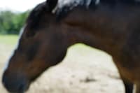 This Will Not End Well by Nan Goldin