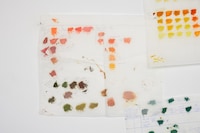 Notes From the Studio