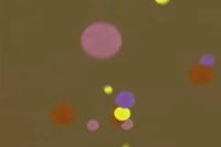 SHOWstudio 25th Anniversary