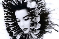 Bj&#246;rk, AnOther Magazine A/W10