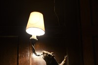 Taxidermy light fittings at The Riding House Caf&#233;