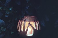 Pumpkin by Marian Newman
