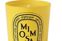 Mimosa by Diptyque at Selfridges