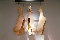 Carapace: Triptych, The Butchers Window 2003