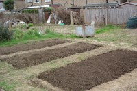 Creating planting beds