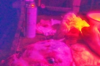 Momo Okabe for Another Man Summer/Autumn 2026