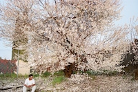 Water Over Thunder: Selected Writings by Larry Sultan