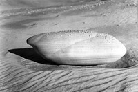Gr&#232;s sur le sable, vers 1935