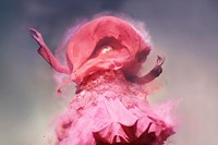 Pink Powder, Lily Donaldson wearing John Galliano,