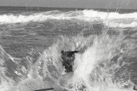 Saint Laurent Rive Droite / Dawn Patrol by Anthony Vaccarell
