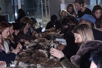 Stem Autumn/Winter 2026