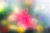 Polaroids, Small Prints and Ephemera 