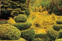 Pages-106-107-Yellow-Garden