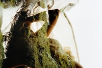 Harley Weir for AnOther Magazine Autumn/Winter 2026 Art Proj