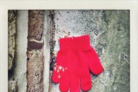 Little Book of Lost Gloves