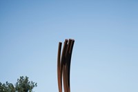 Bernar Vernet