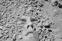 David Wojnarowicz at The Modern Institute