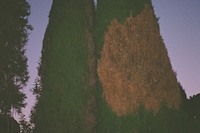 Marie Tomanova’s Summer Photo Dump