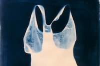 Catching Flies with Honey by Joy Gregory 