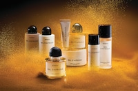 Bal d’Afrique: A Scent in Motion