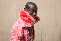 Californian Wildflowers by Pieter Hugo California Homeless 